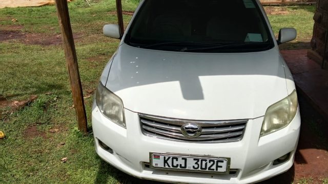 50b6ce47 410a 4902 a4e3 e9fe2baac52f