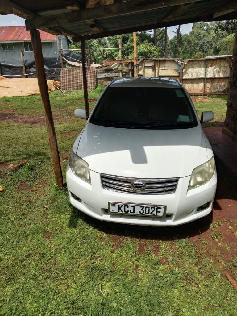 50b6ce47 410a 4902 a4e3 e9fe2baac52f