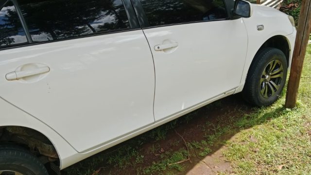 8e04b5d6 f5f8 4aed 9f6b f6dab79c334e