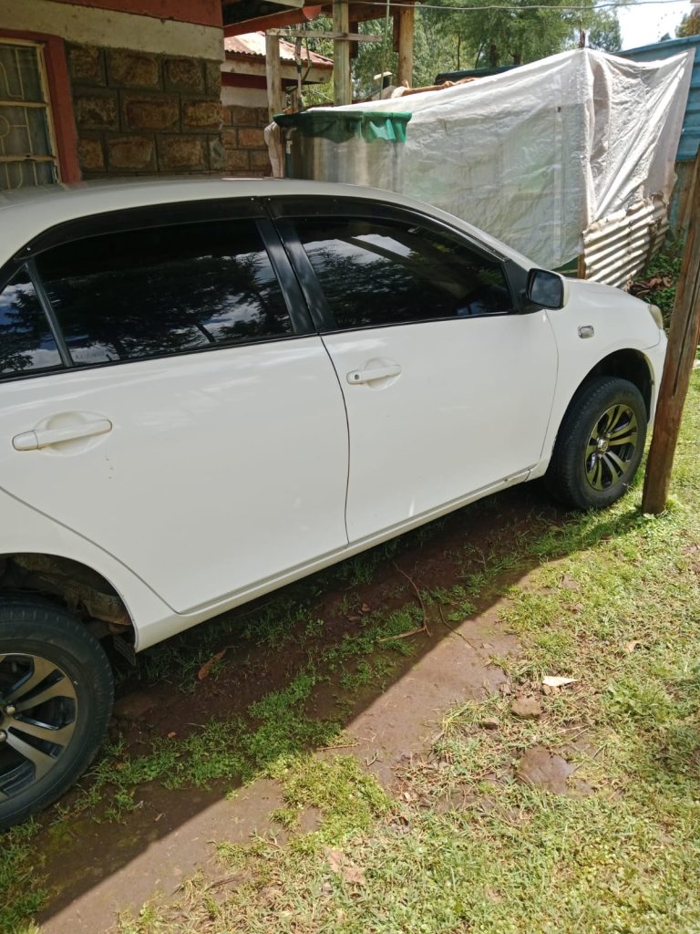 8e04b5d6 f5f8 4aed 9f6b f6dab79c334e