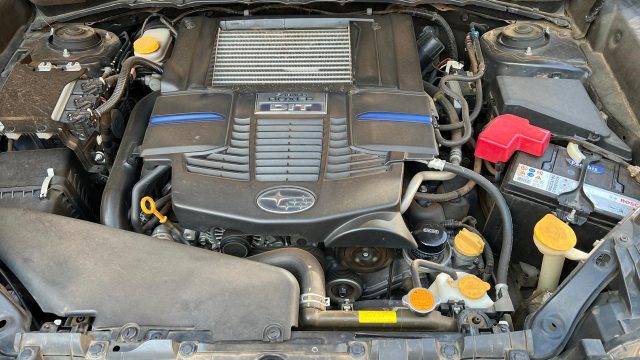 Author Profile f97f6074 5aef 4ed9 93dd f295bf7c0842